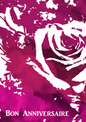 Belle rose pour un soixanti&egrave;me anniversaire